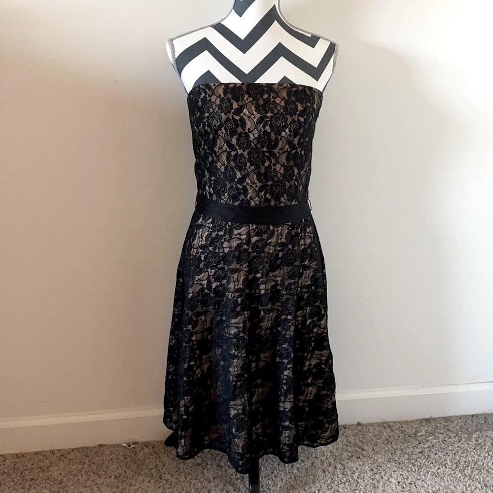 LOFT Lace Cocktail Dress
